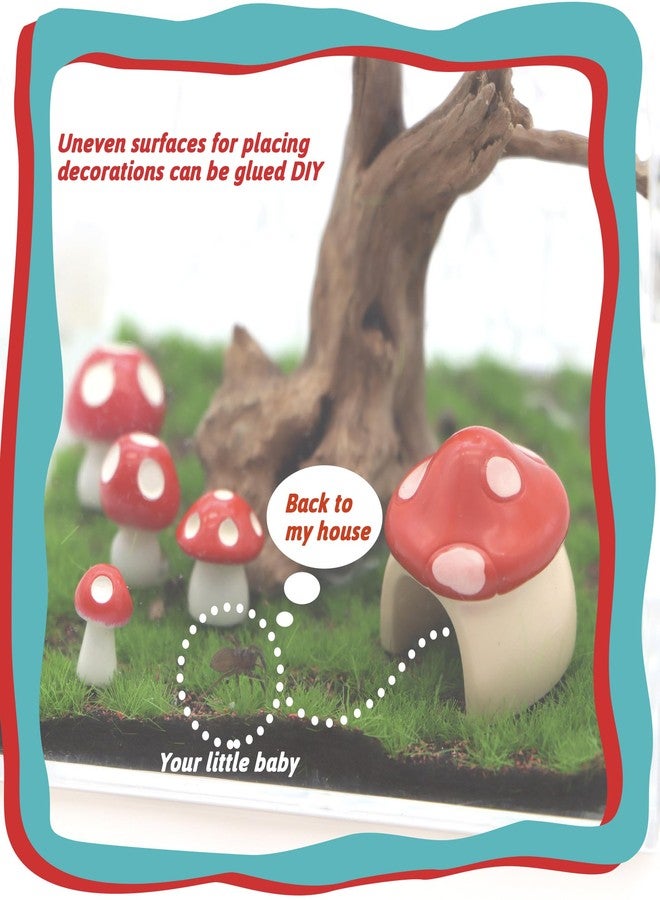 LUTQ 5 Pack Jumping Spider Habitat Decor with Mushroom Hide - Resin Spider Accessories and Enclosure Accessories - Image 4